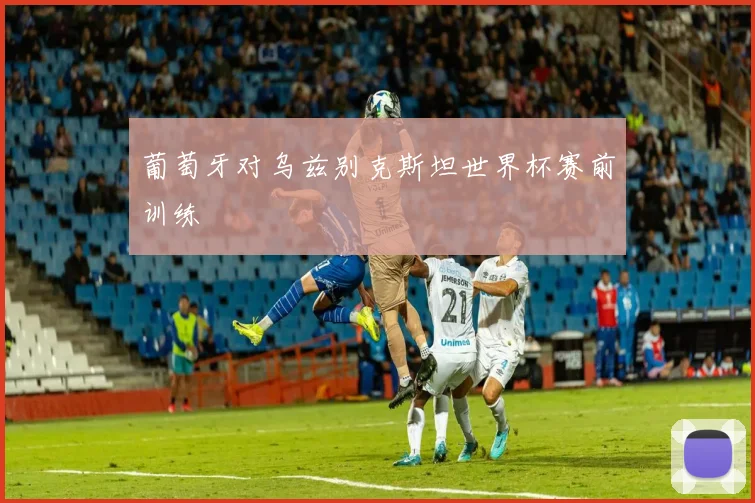 葡萄牙对乌兹别克斯坦世界杯赛前训练