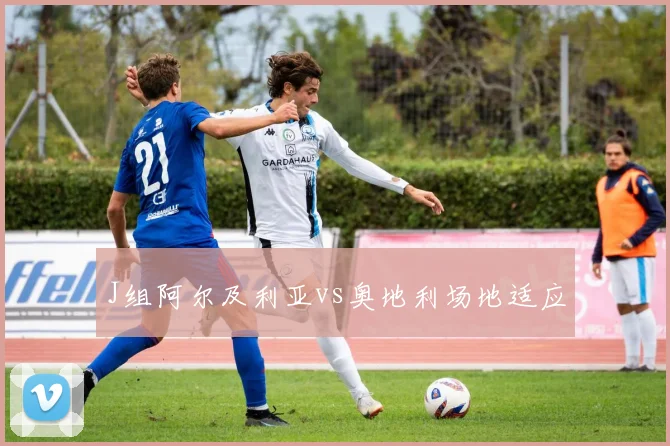 J组阿尔及利亚vs奥地利场地适应
